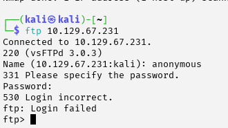 Anonymous FTP attempt
