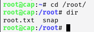Root shell